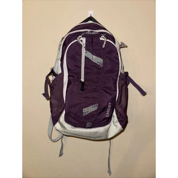 EDDIE BAUER Cassidy Day Pack Hiking Camping College BACKPACK 20L Purple And Gray - Picture 1 of 6